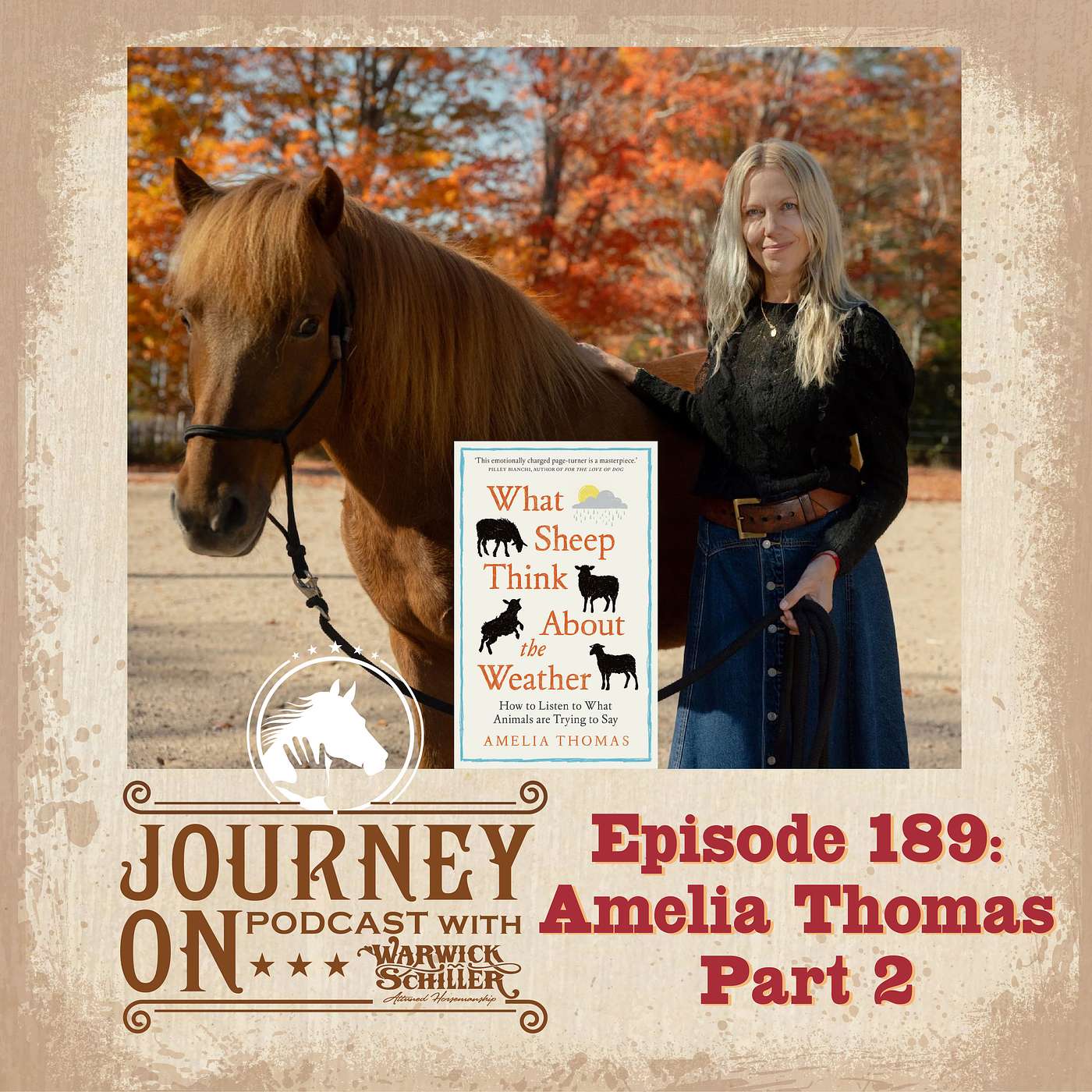 Revisited: Amelia Thomas