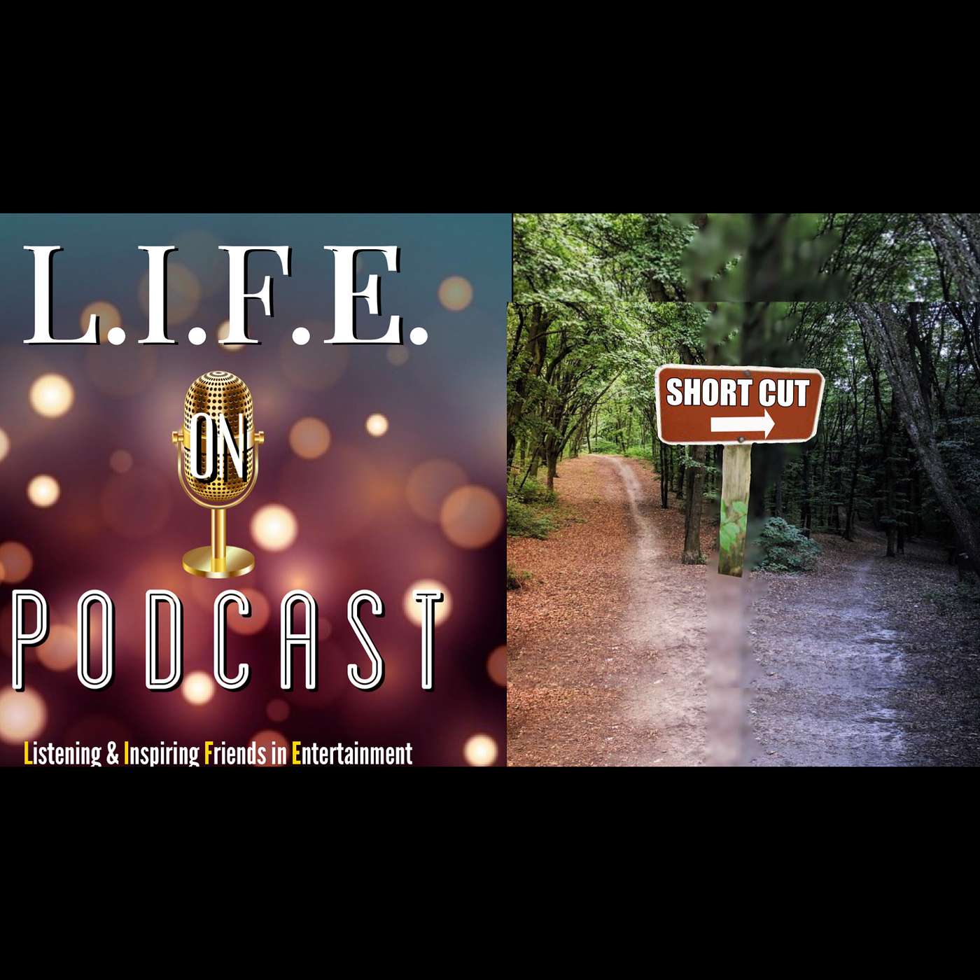L.I.F.E. on podcast