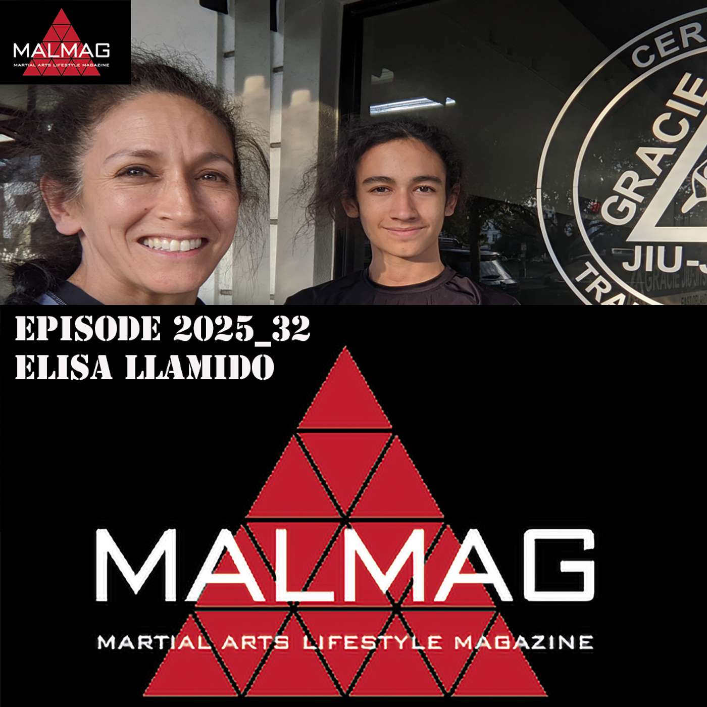The Martial Arts Lifestyle Podcast