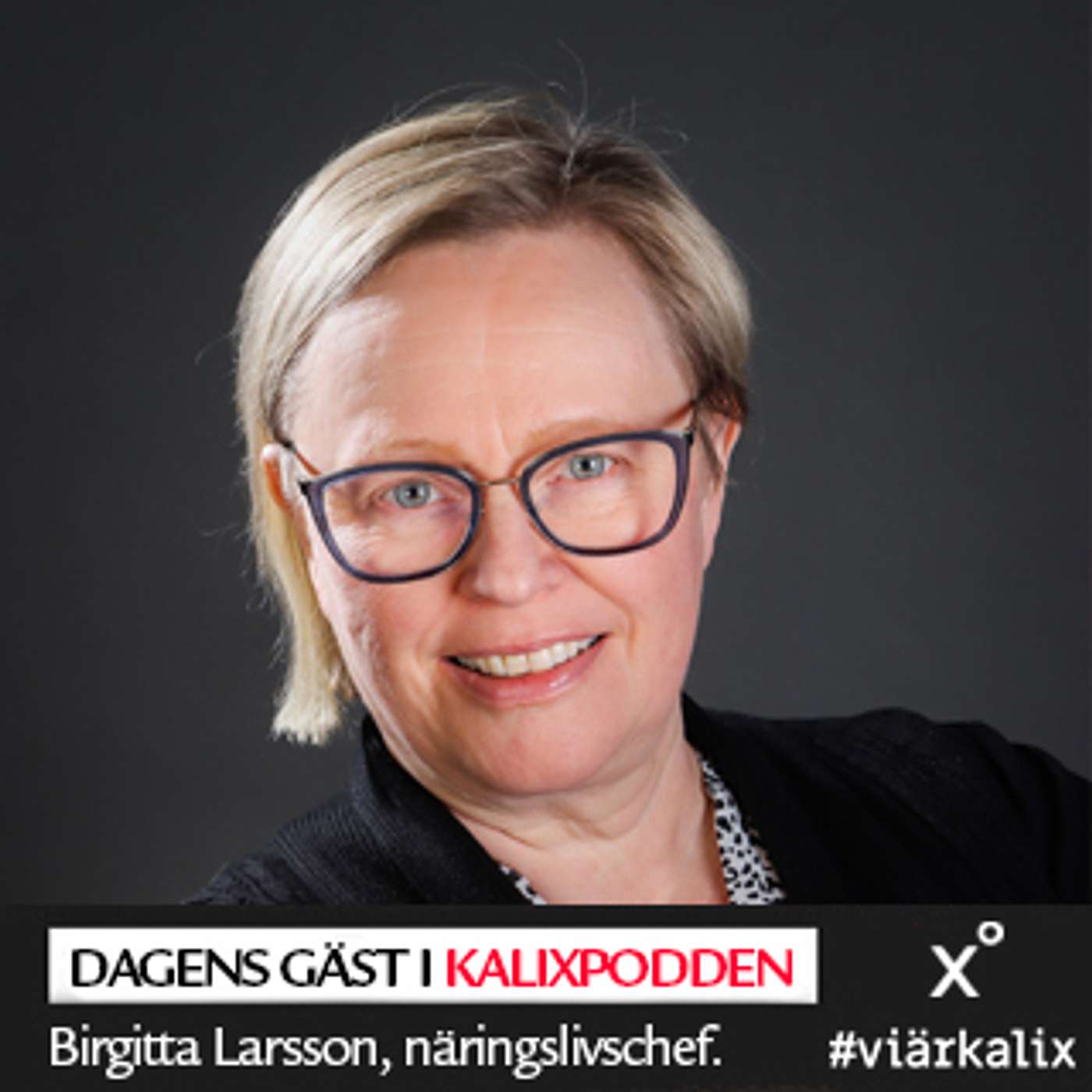 Kalixpodden