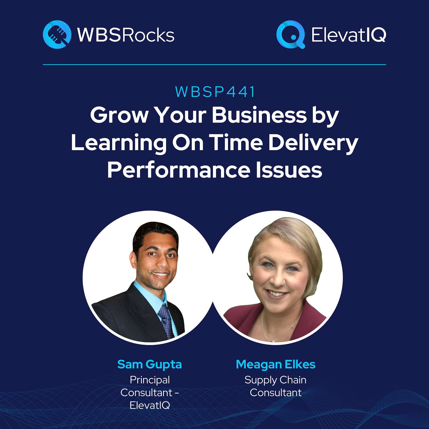 WBSP441: Grow Your Business by Learning On Time Delivery Performance Issues w/ Meagan Elkes