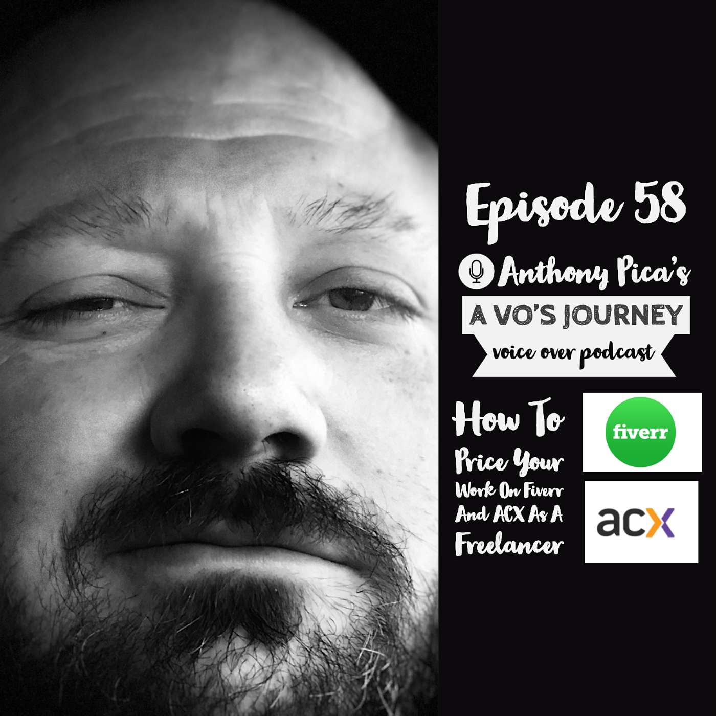 A VO\'s Journey: Voiceover and more voice over