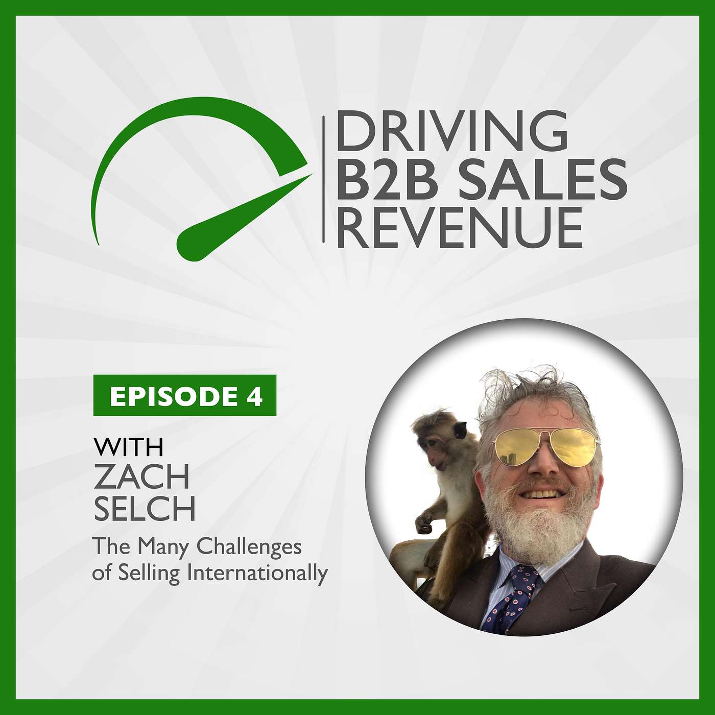 Driving B2B Sales Revenue