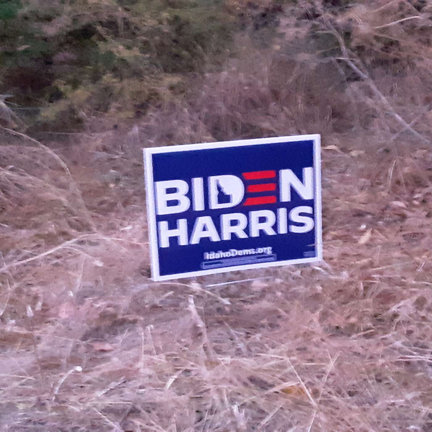 Insurrection Offramp  2024