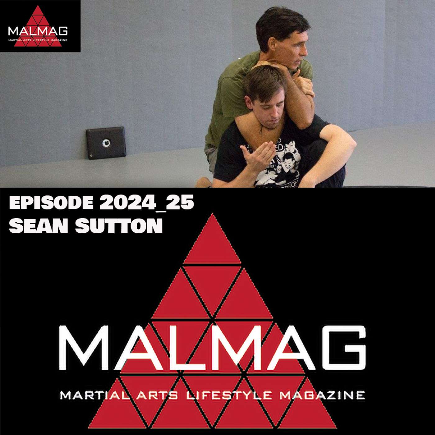 The Martial Arts Lifestyle Podcast