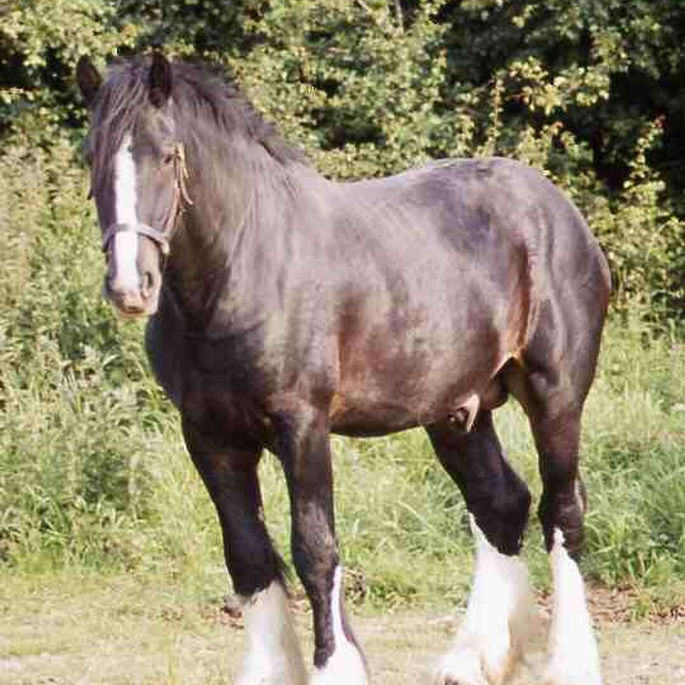 CHRISTMAS CAN BE A SAD TIME TOO...                     Reflections on Christmas 1991.