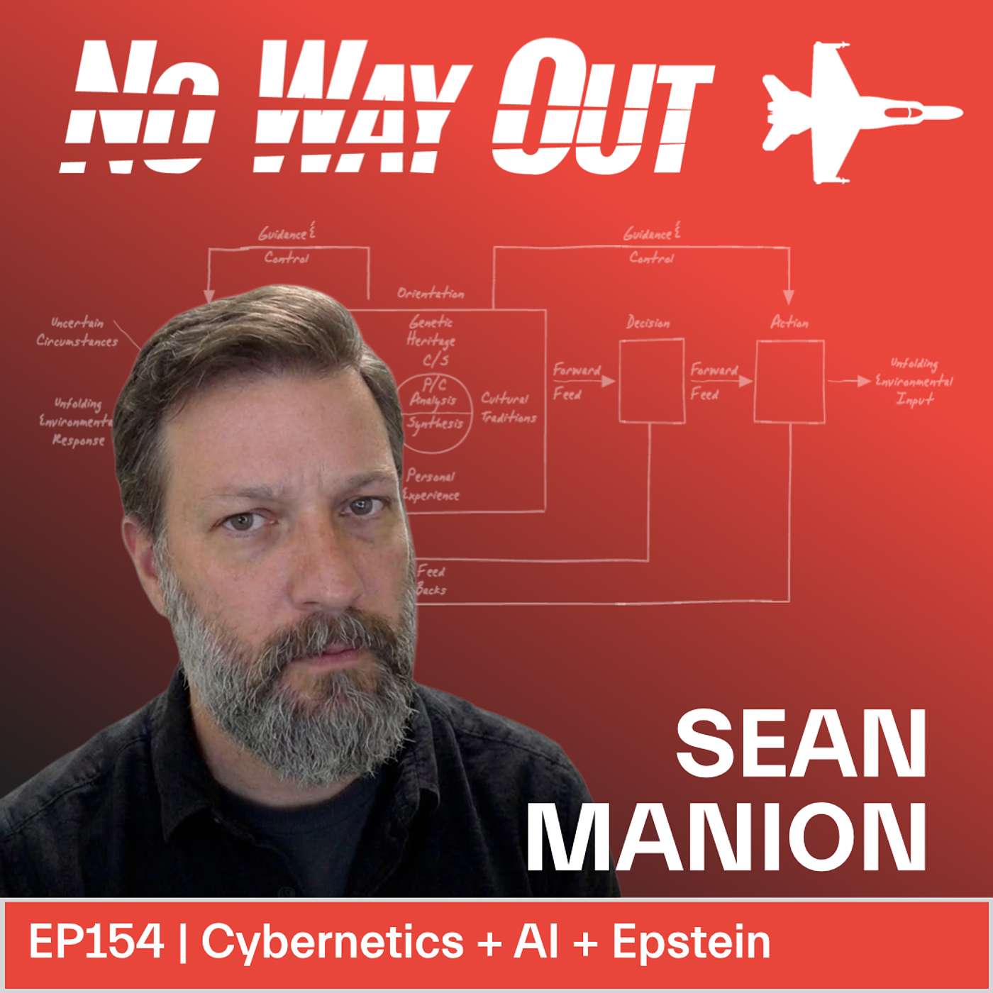 Unlocking the Real OODA Loop: Cybernetics, AI, and Epstein's Hidden Connections