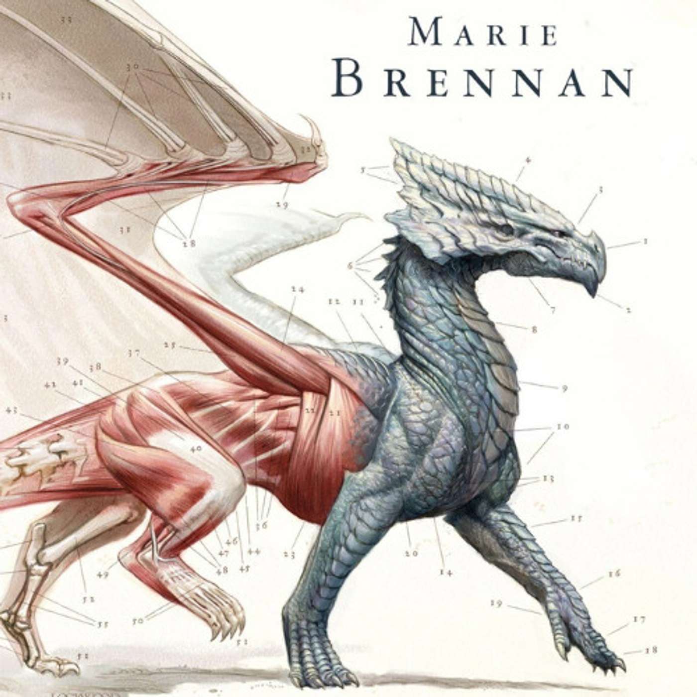 A Natural History of Dragons review | Marie Brennan