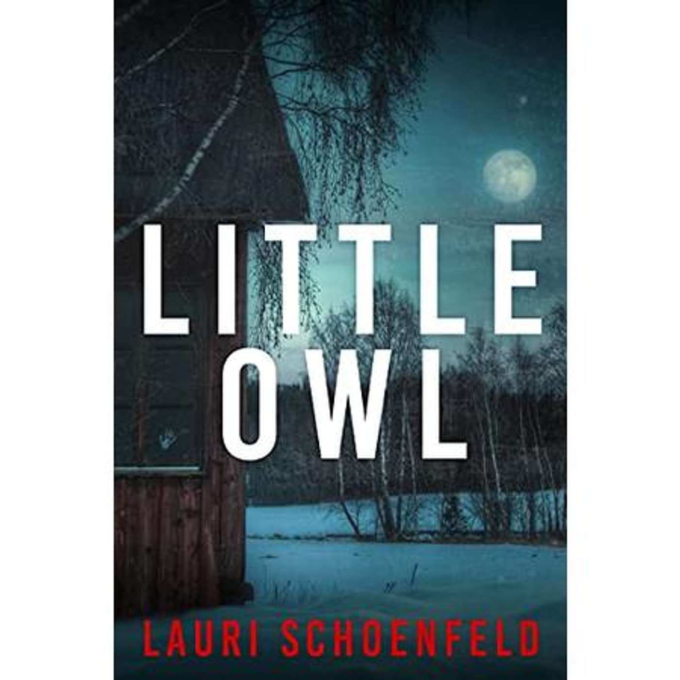 Power of Truth, Redemption & Hope with author Lauri Schoenfeld on Book Lights episode artwork
