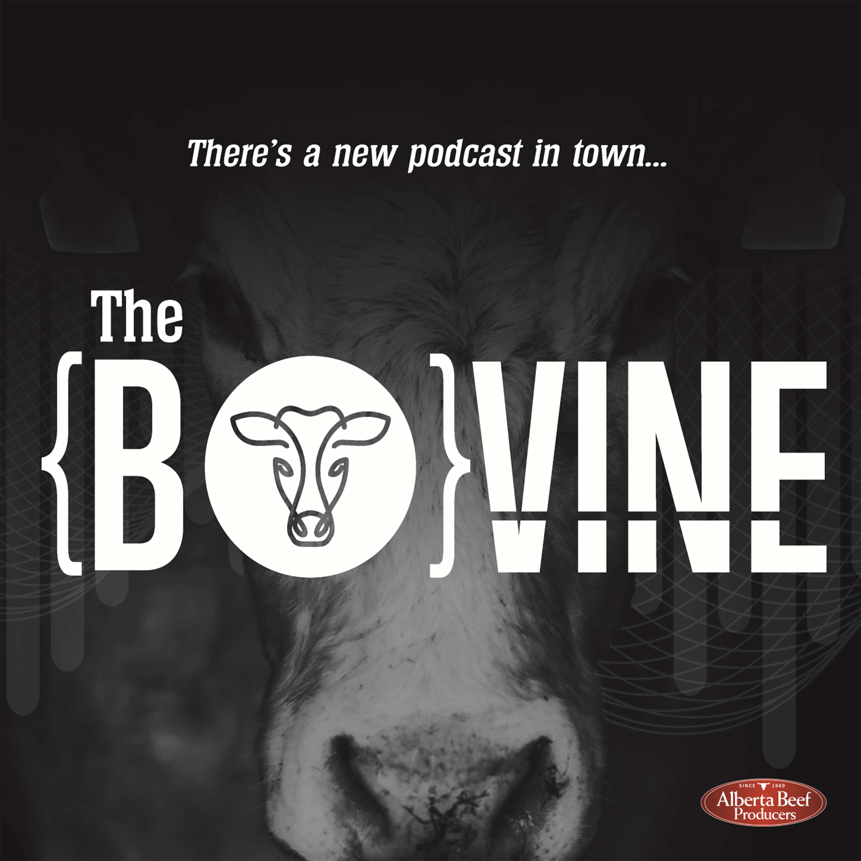 The Bovine: Good chaos, lessons from different industries, and the power of changing your mind