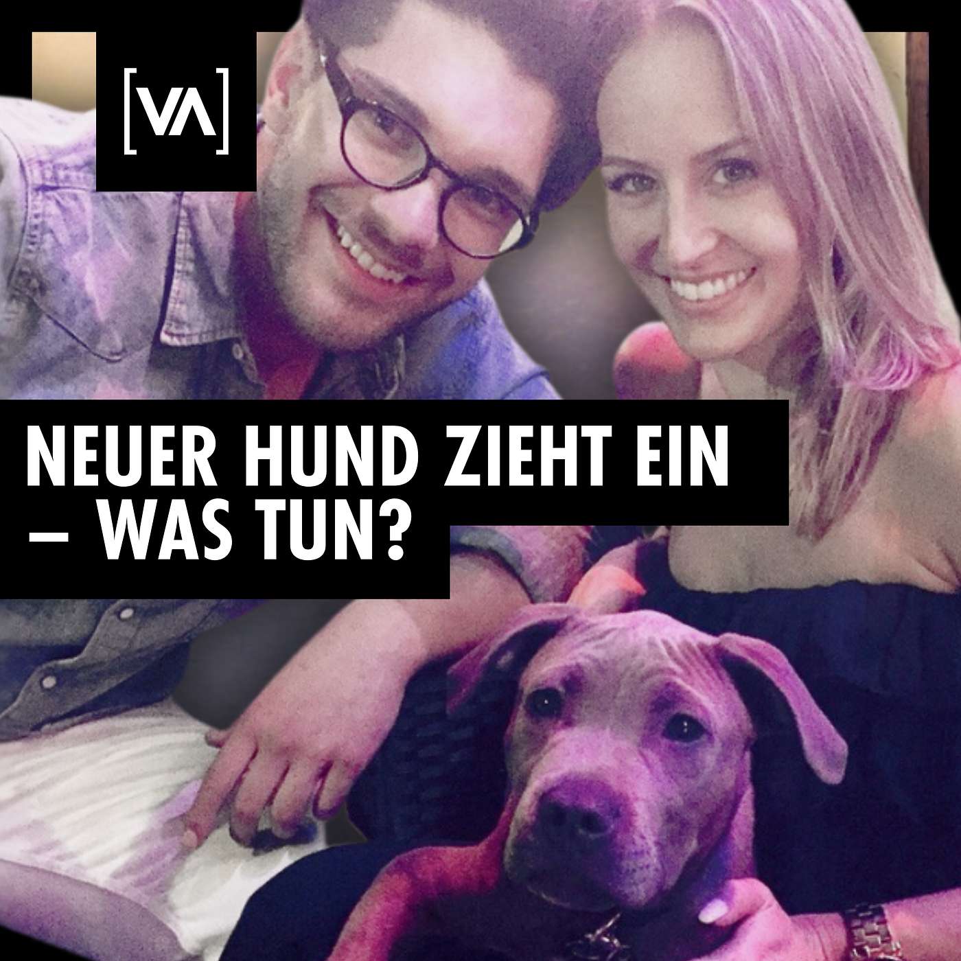 Der erste Tag mit Hund 🐶 – so startest du richtig ins gemeinsame Leben