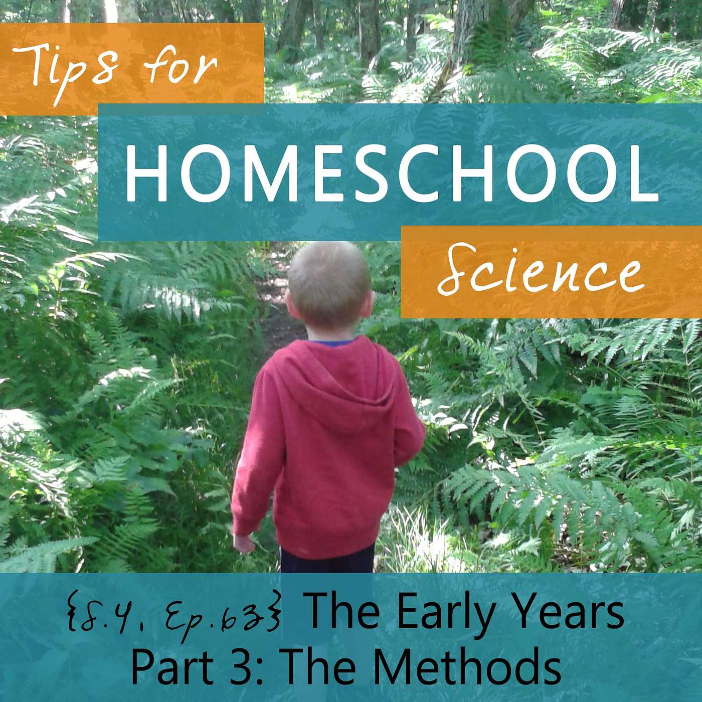 Tips for Homeschool Science Podcast from Elemental Science