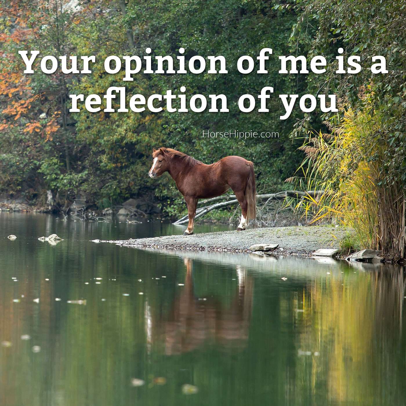 You Gotta Be Yourself You Gotta Be Yourself