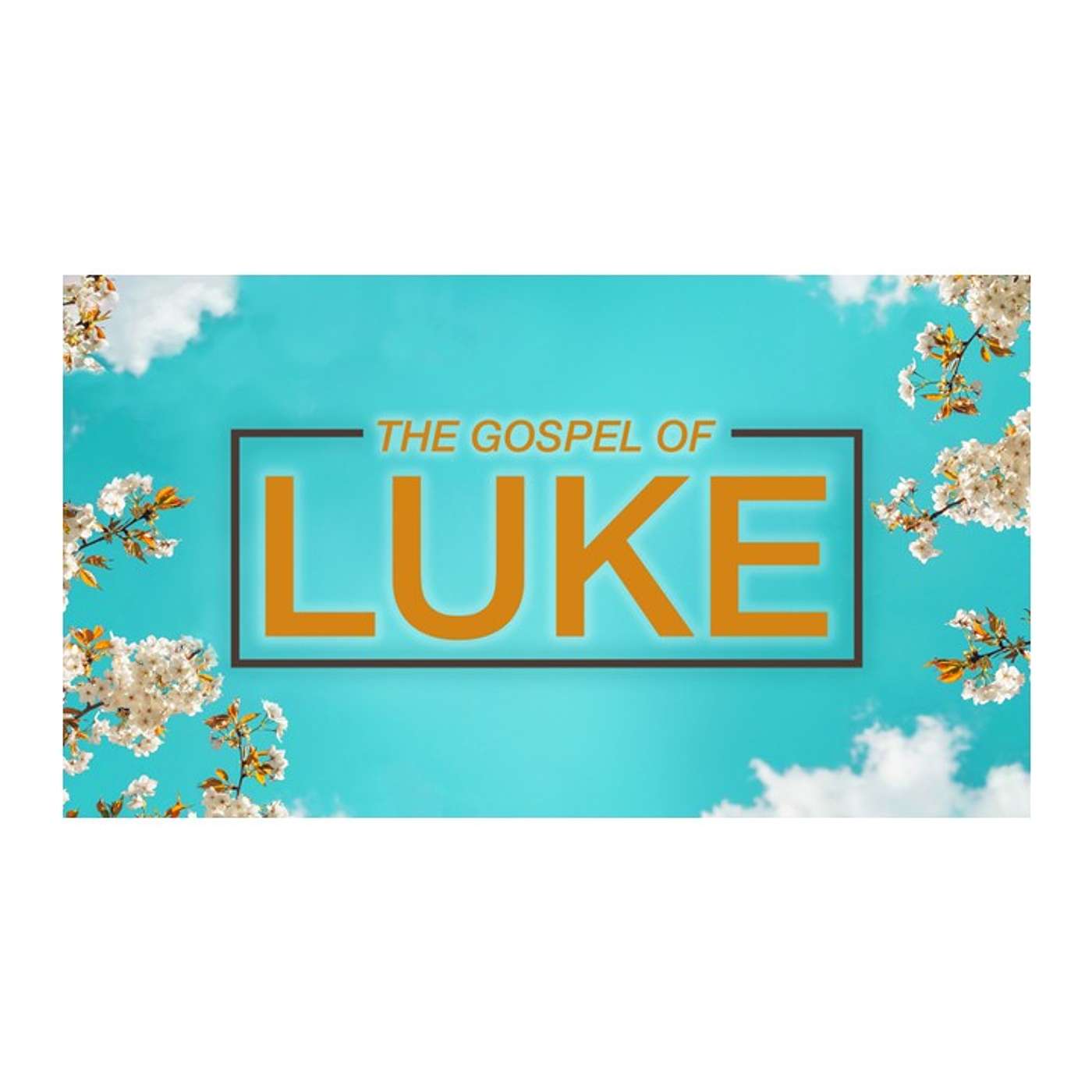 Gospel of Luke pt.22 (Calling the Twelve) episode artwork