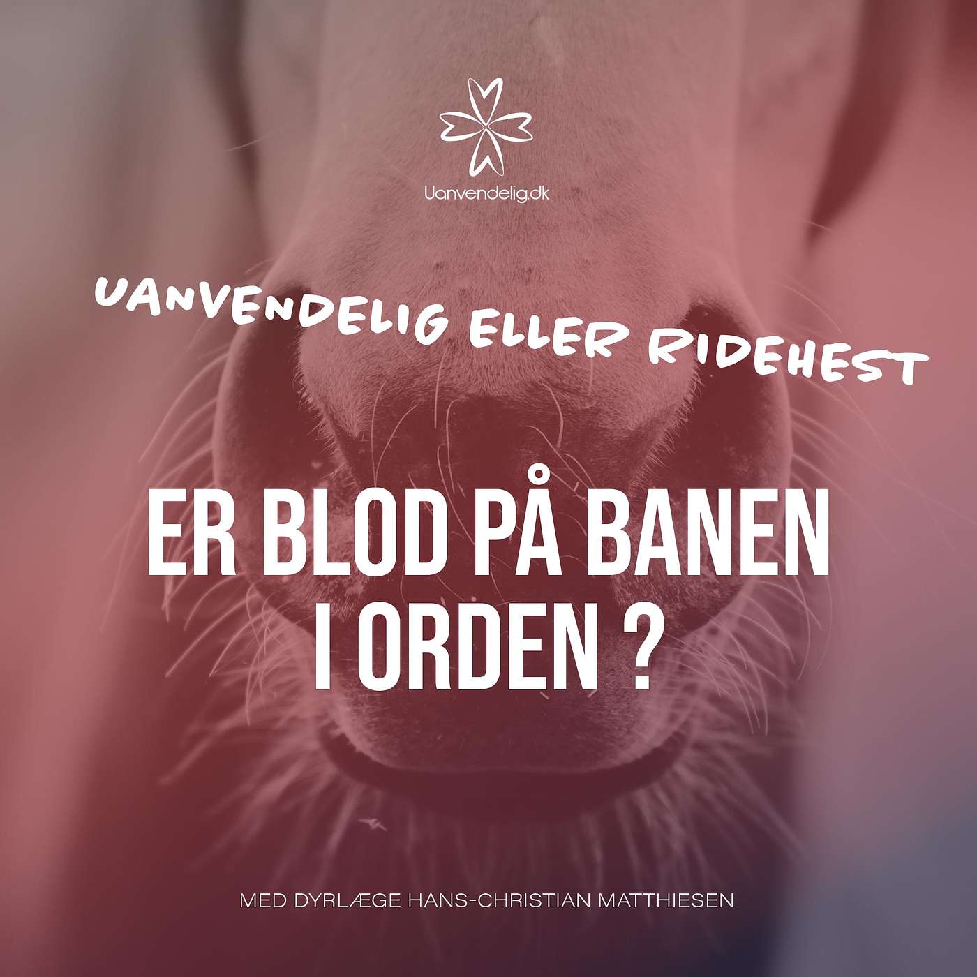 Er blod på banen acceptabelt? Er blod på banen acceptabelt?