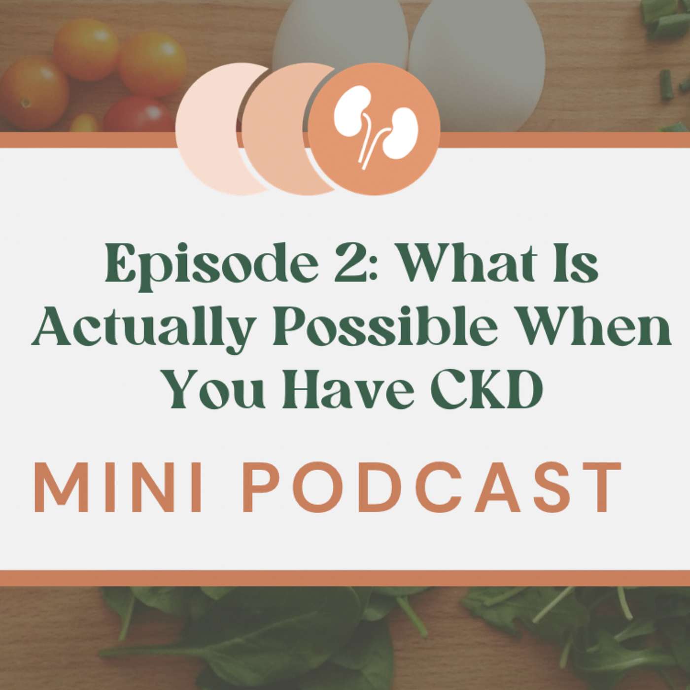 What Is Actually Possible When You Have CKD episode artwork