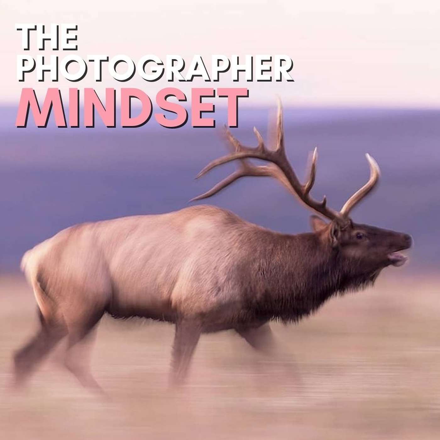 The Photographer Mindset