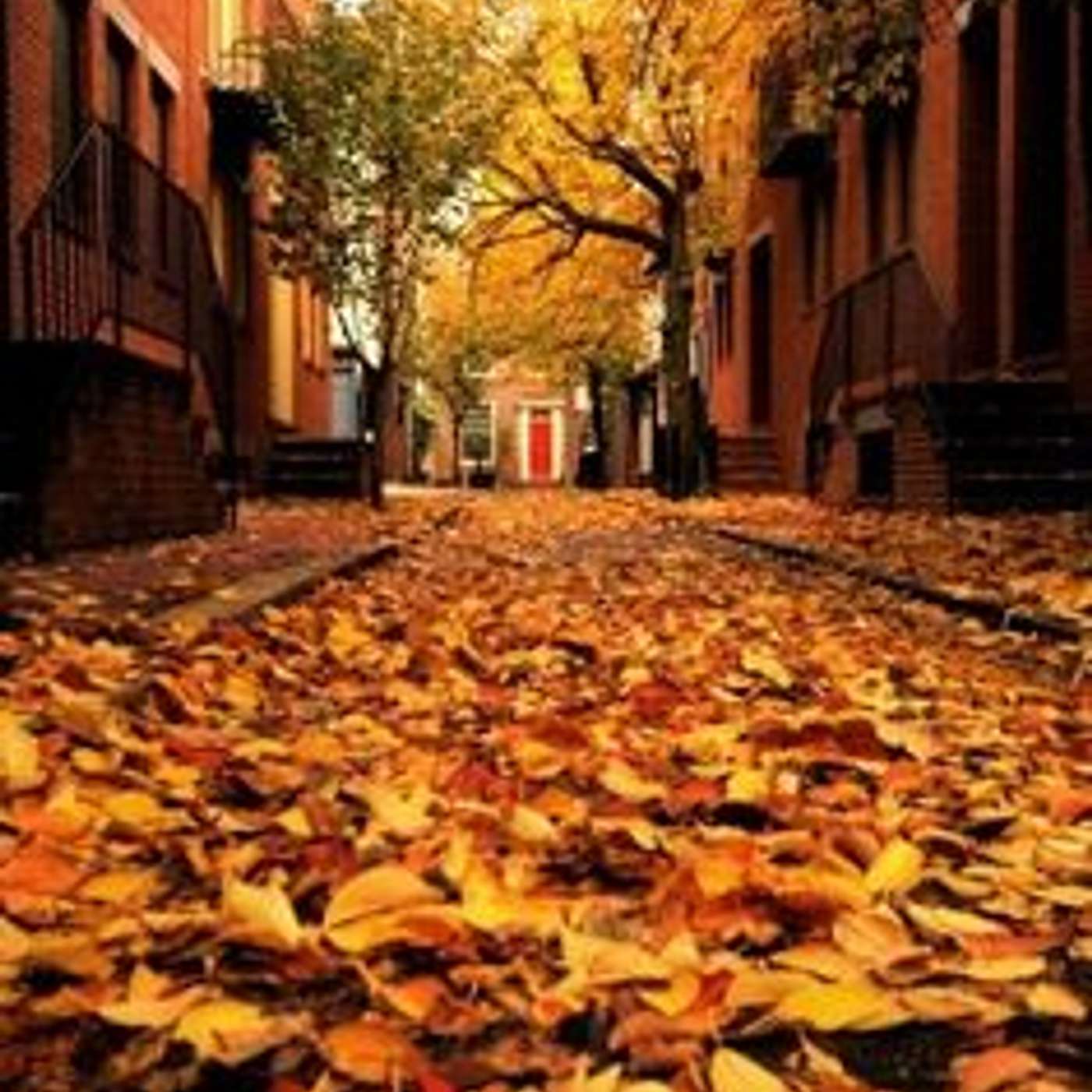 Episode 25: Fall Rises