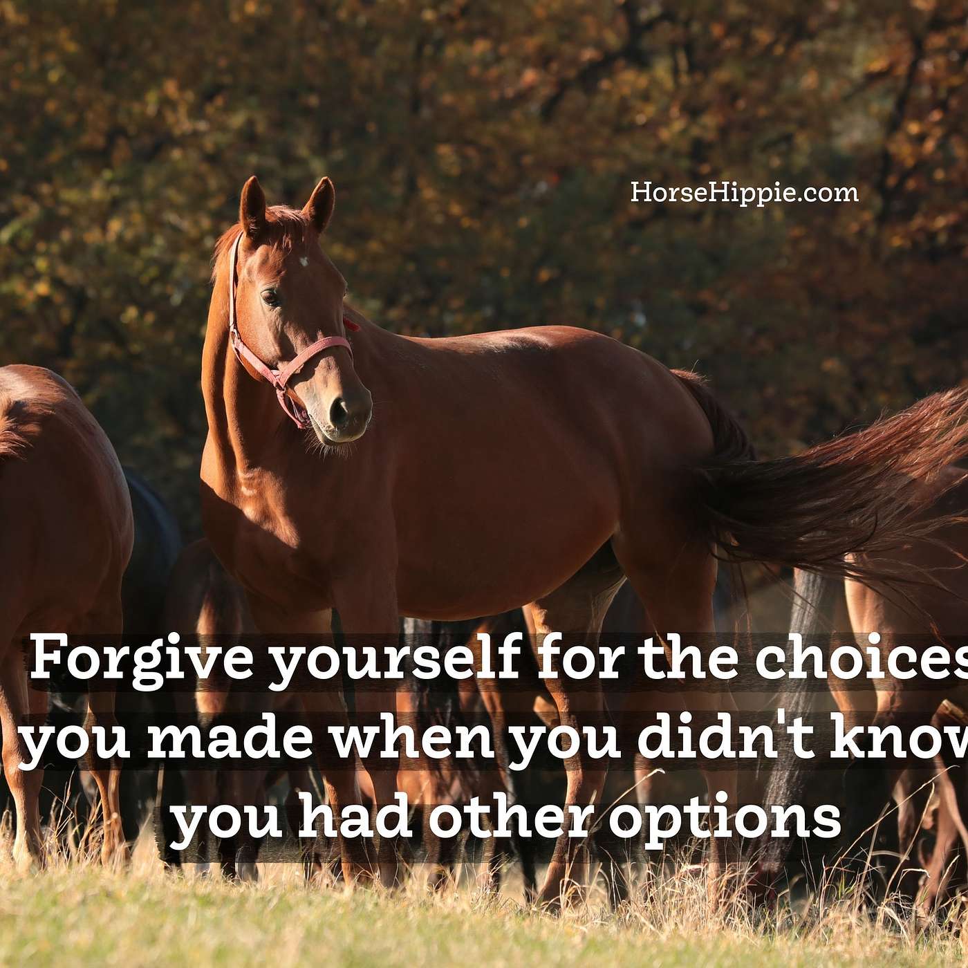 Forgive Yourself