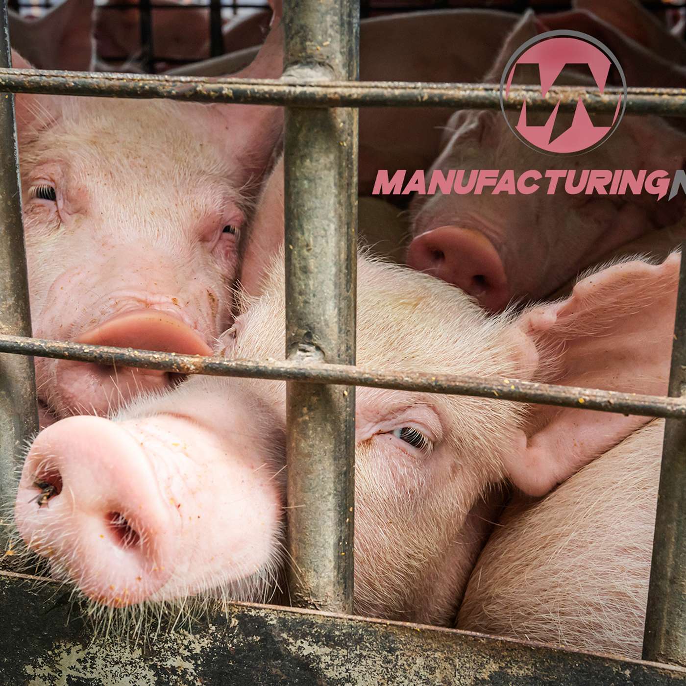Large Pork Producer Faces Shocking Worker Retaliation Allegations