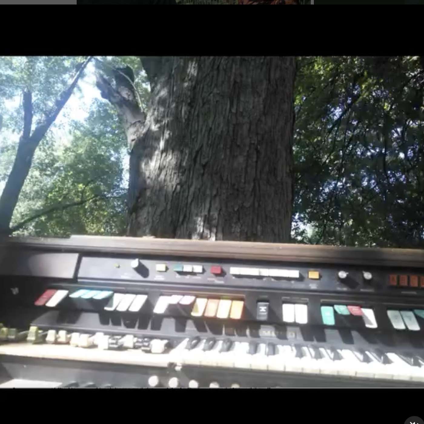 I'm An Organ, You're An Organ