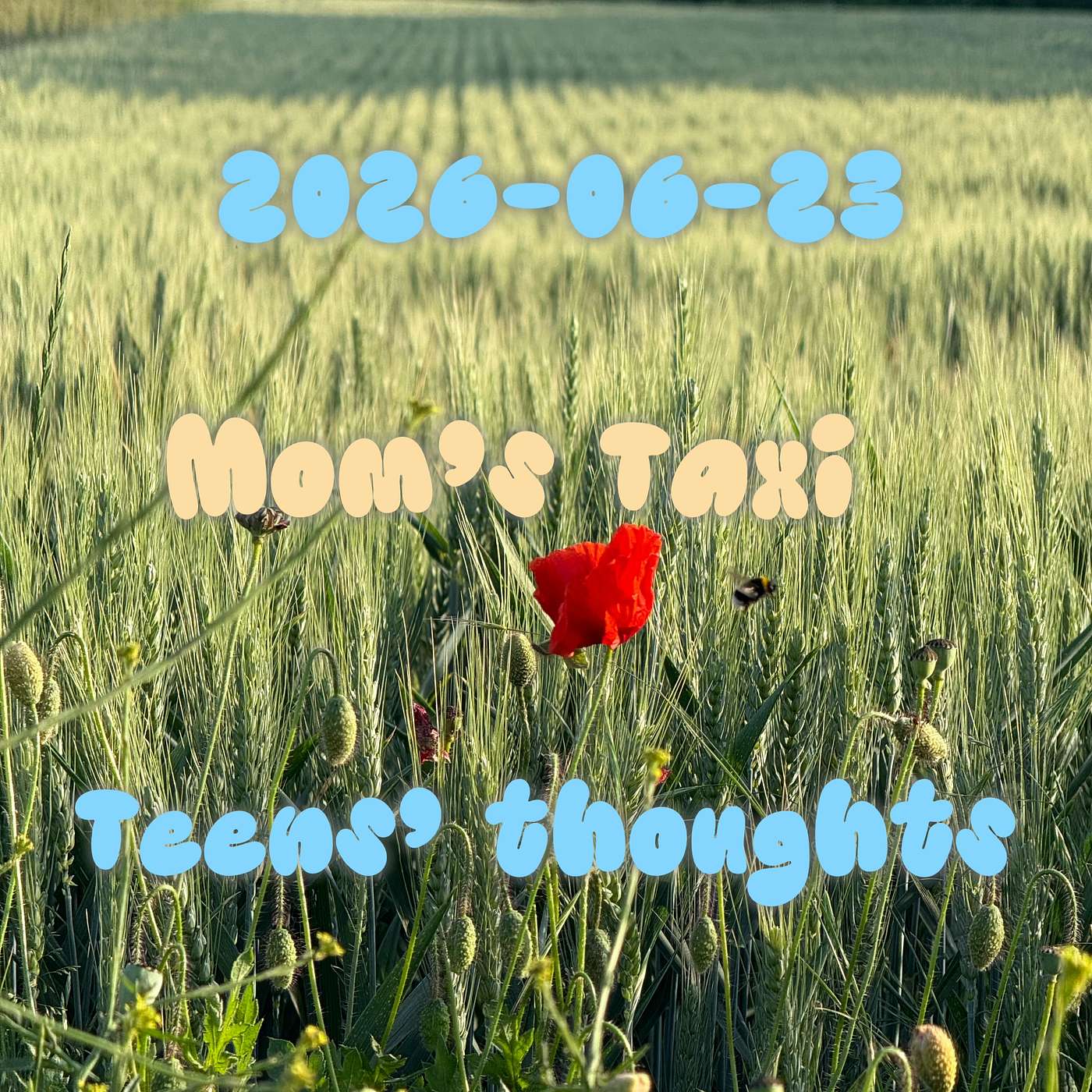 June 23rd, Car Sleep episode artwork