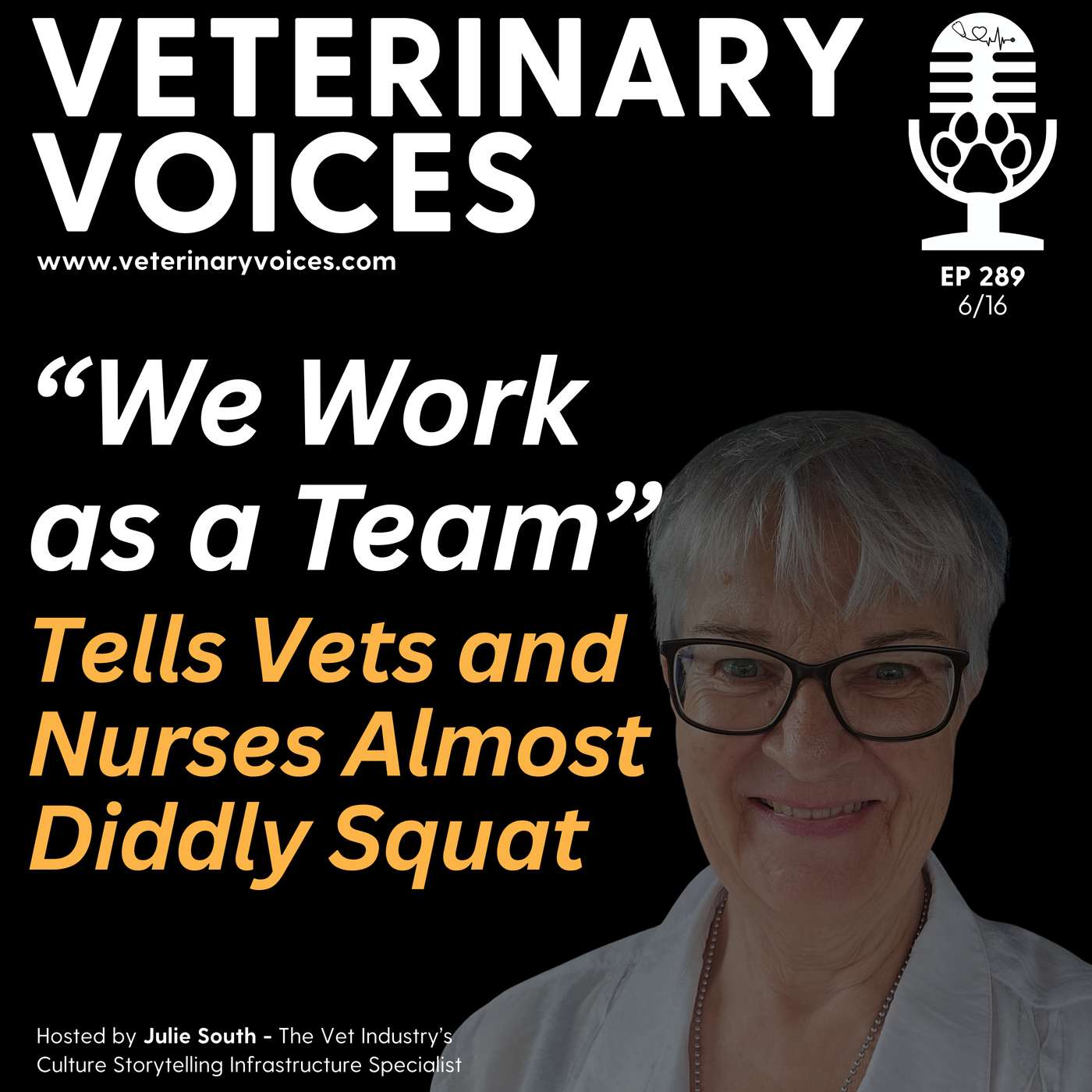 Why "We Work as a Team” Tells Vets and Nurses Almost Diddly Squat - ep. 289