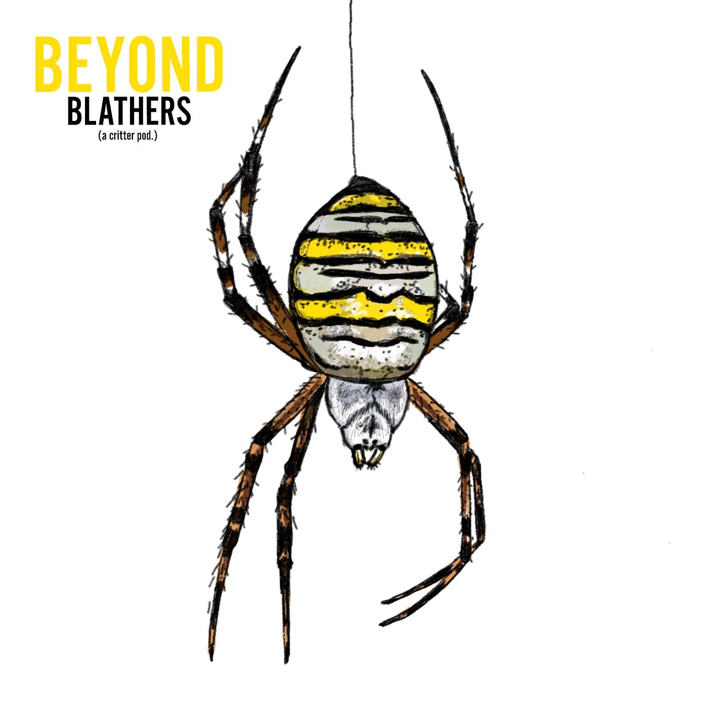Beyond Blathers