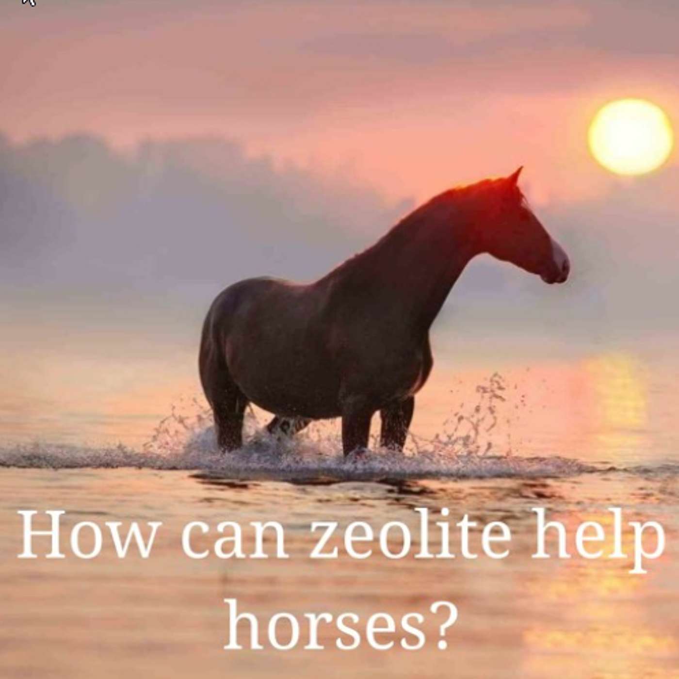 How can zeolite help horses?