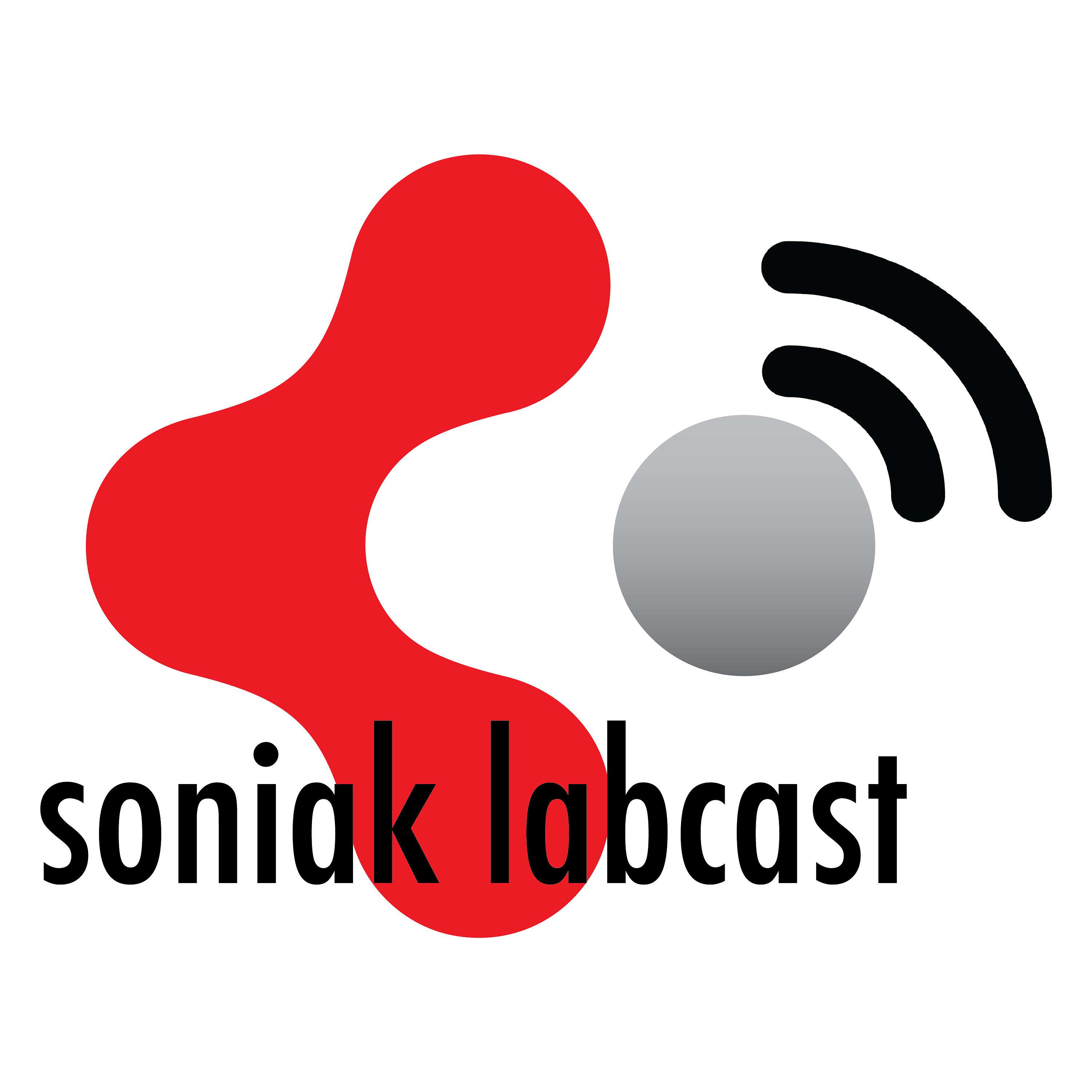Soniak Labcast