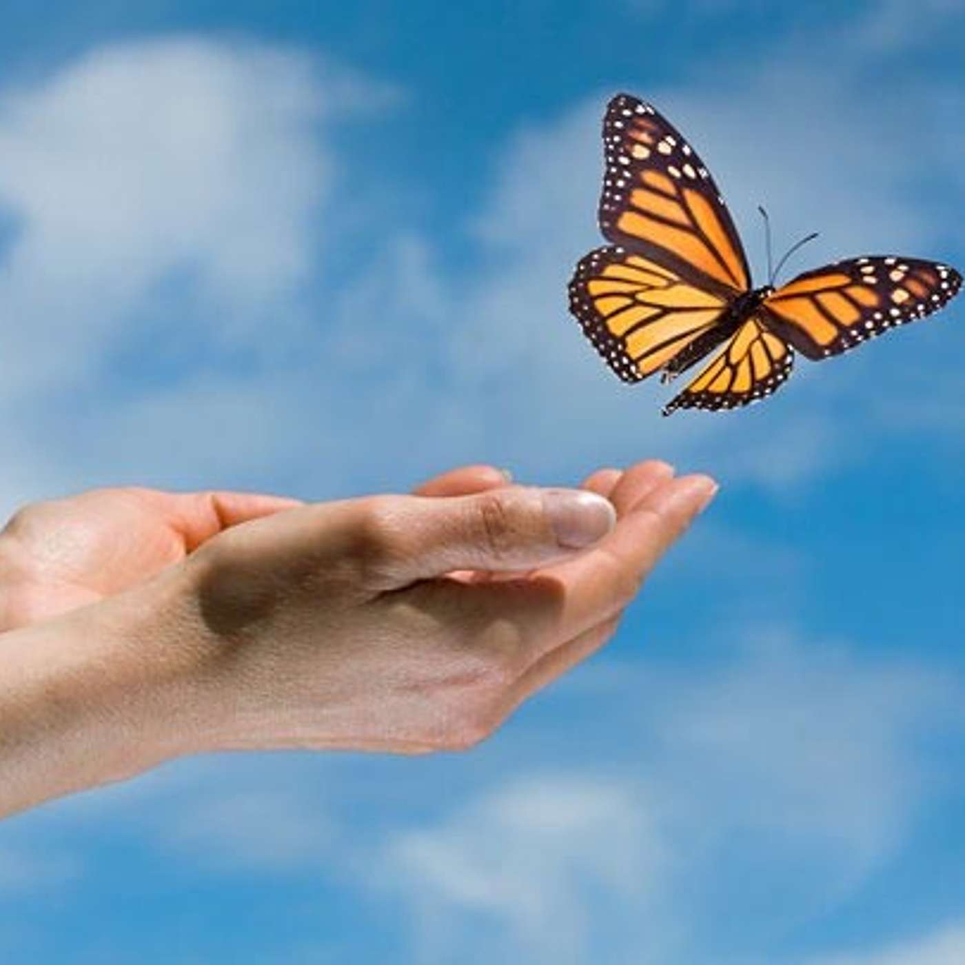 You Can Let Go Now