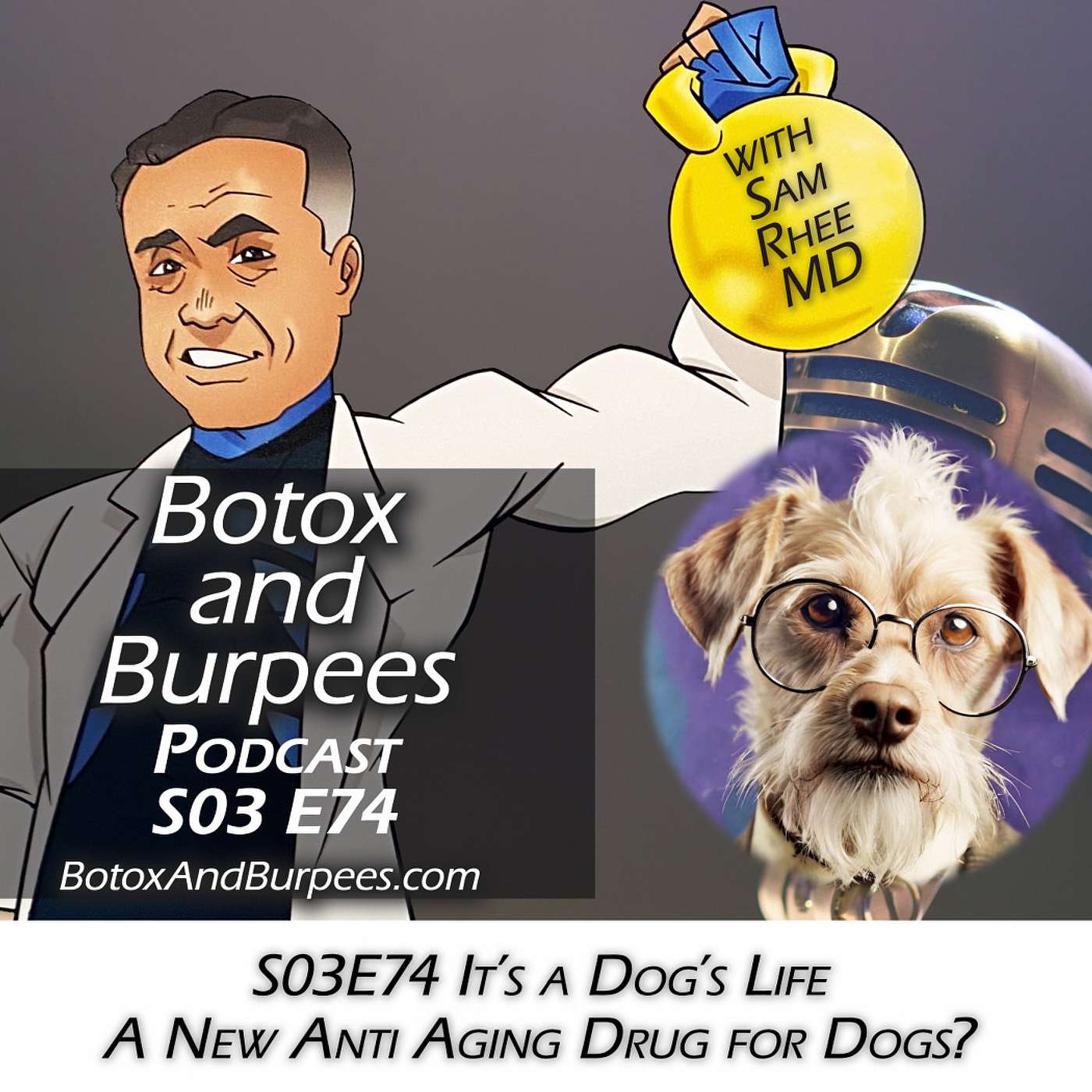 S03E74 - It's a Dog's Life: A New Anti-Aging Drug for Our Best Friend? episode artwork