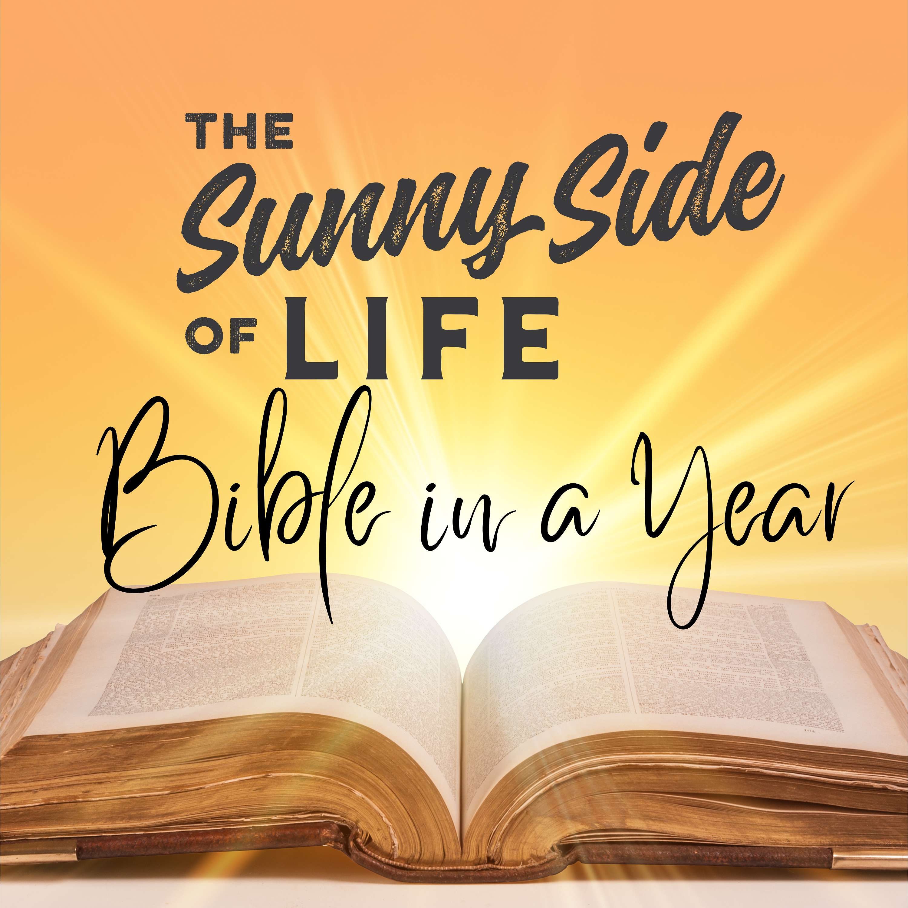 The Sunnyside of Life Bible In A Year Experience