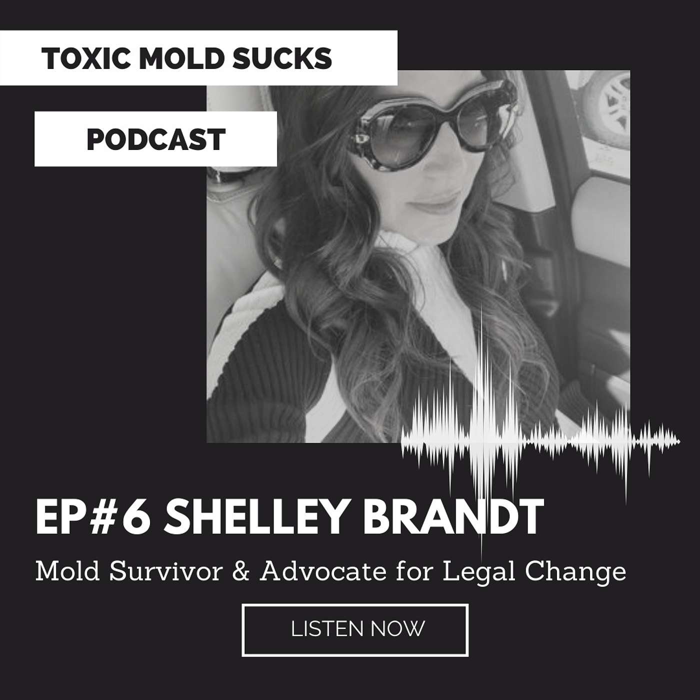 Episode #6 Shelley Brandt - Shares their New Home Nightmare and 6 Year Legal Battle