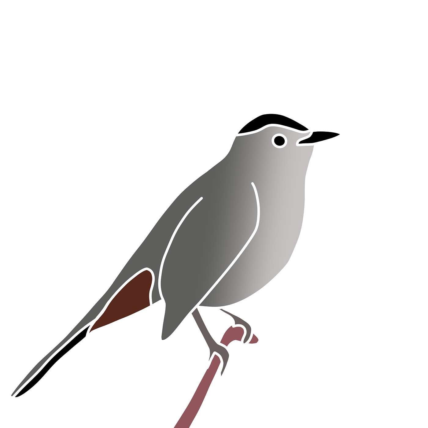 The Gray Catbird episode artwork