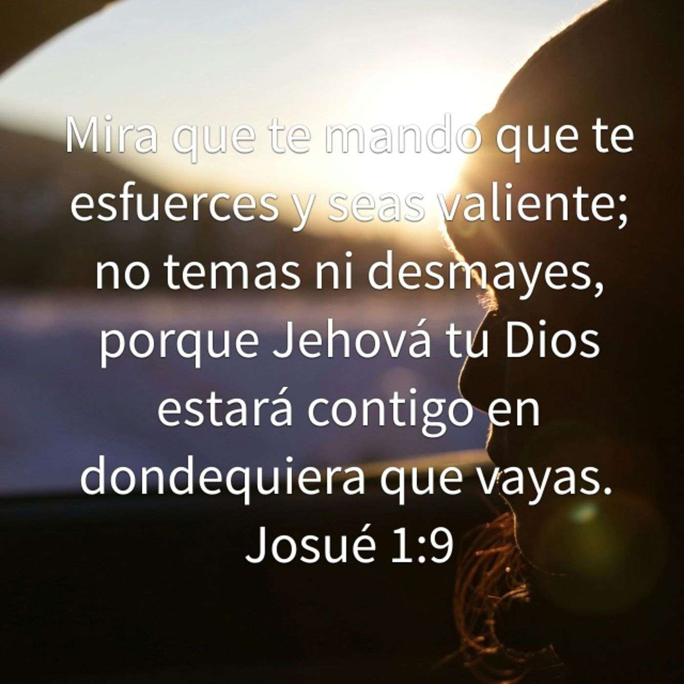 Palabra Viva y Eficaz