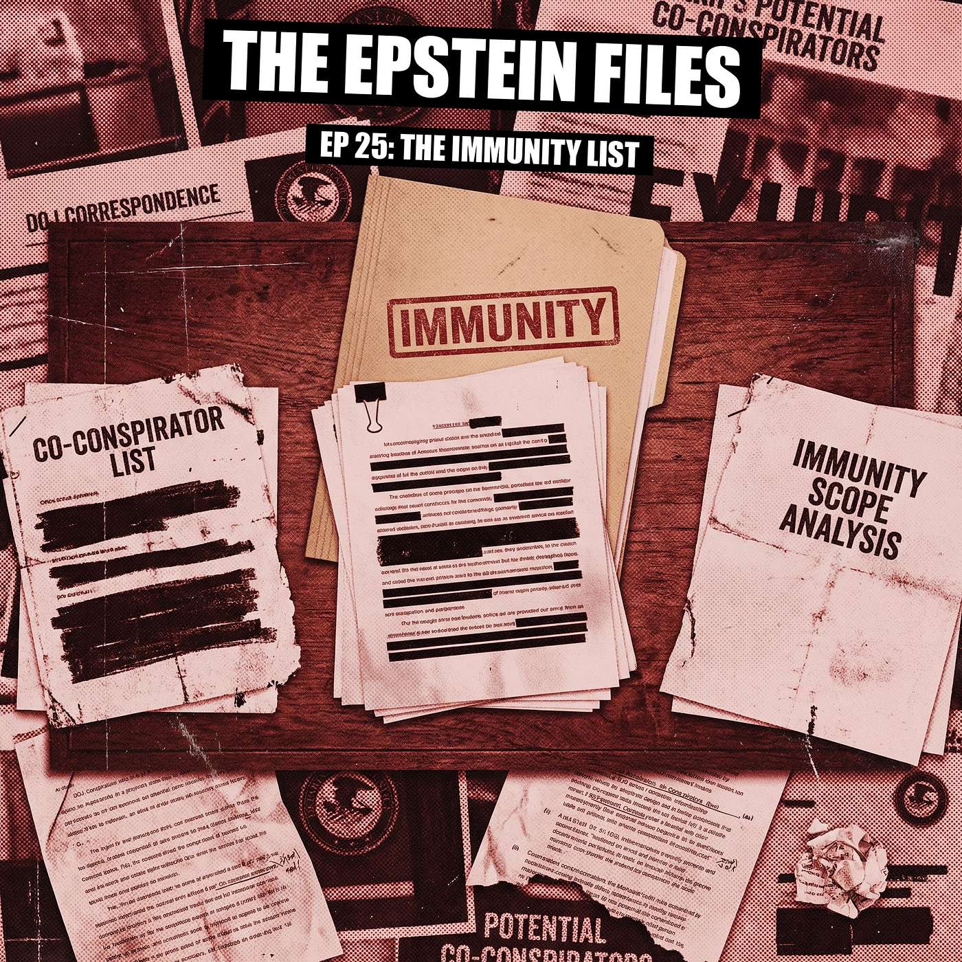 File 25 - Who Got Immunity in Epstein's Secret Plea Deal?