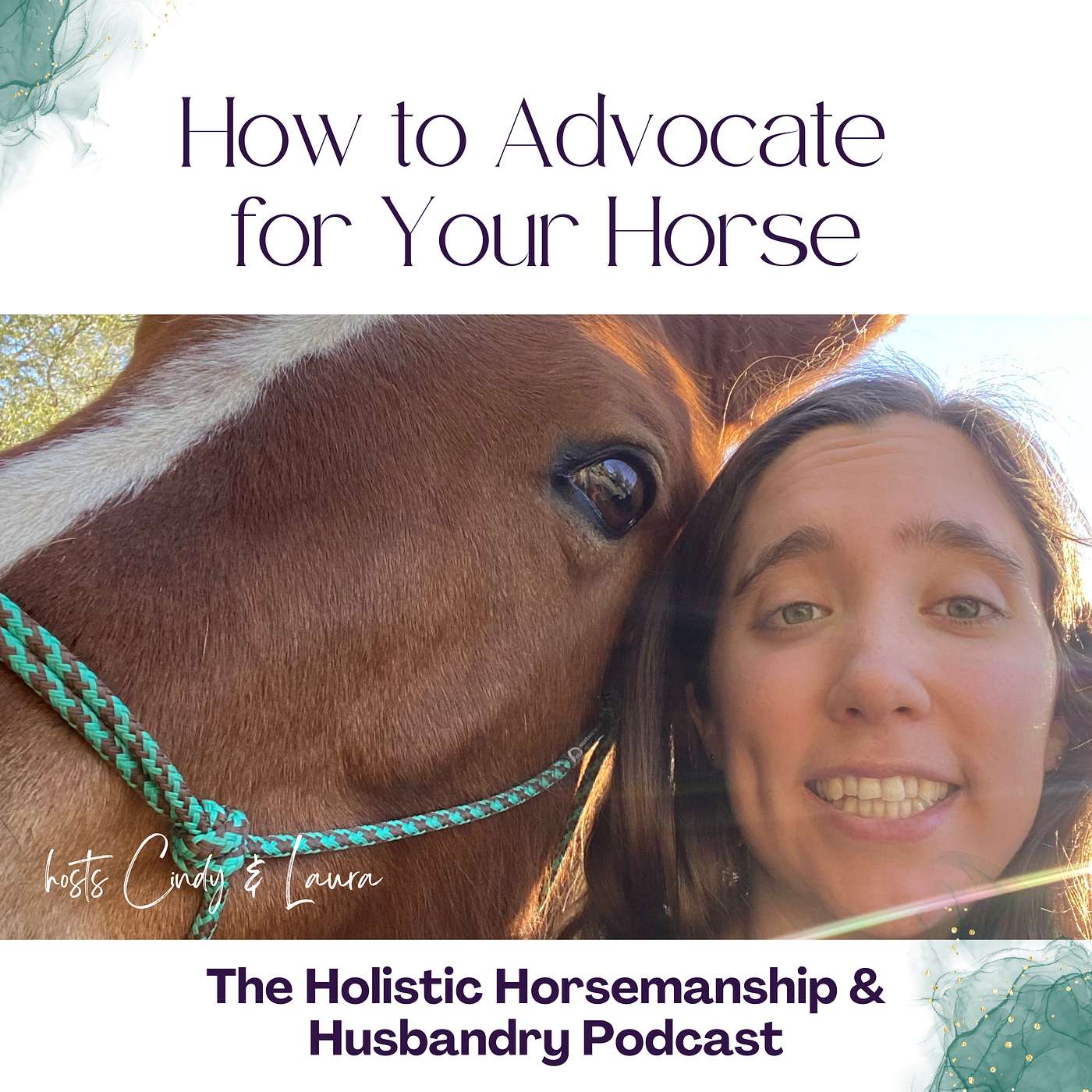#38 How to Advocate For Your Horse
