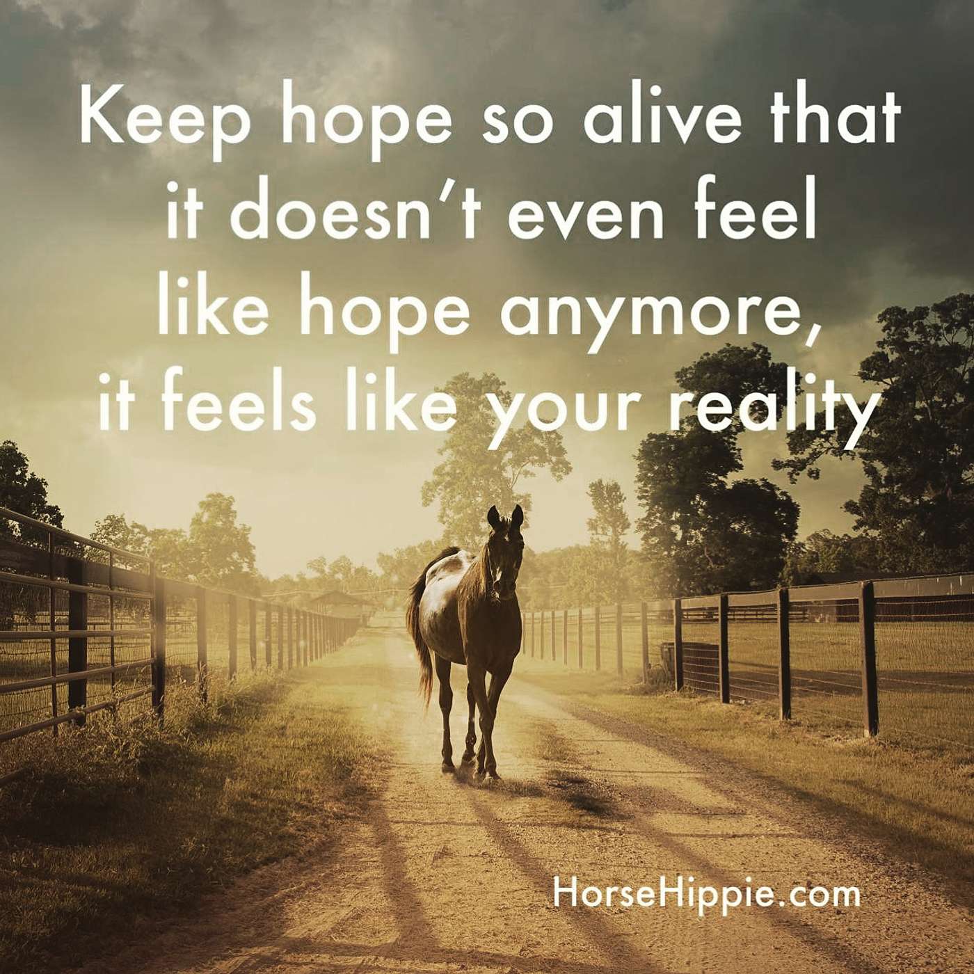 Believe in Hope episode artwork