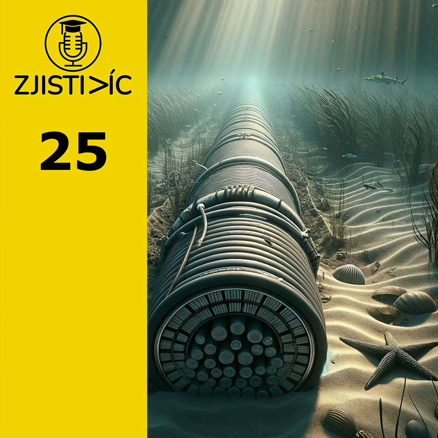 25 - Podmořské datové dálnice