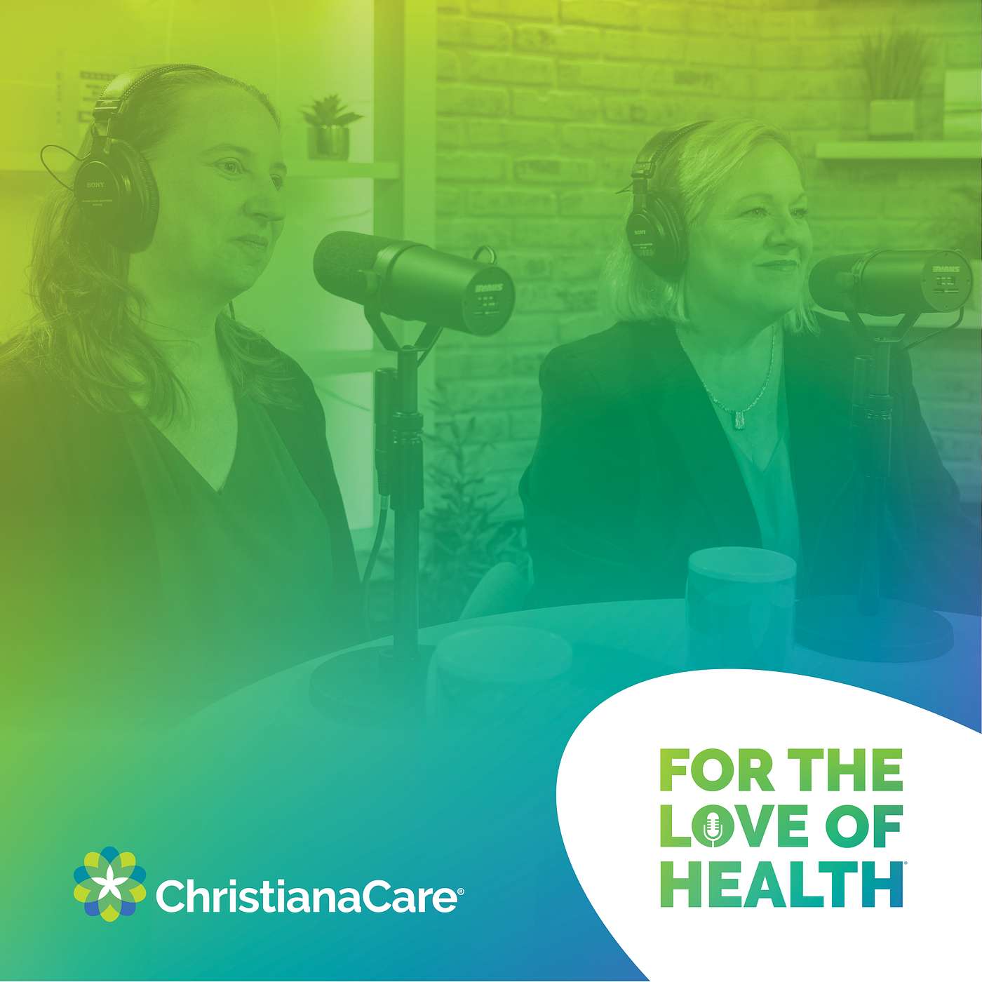 Virtual Nursing in the Hospital with Michelle Collins and Melanie Ries episode artwork