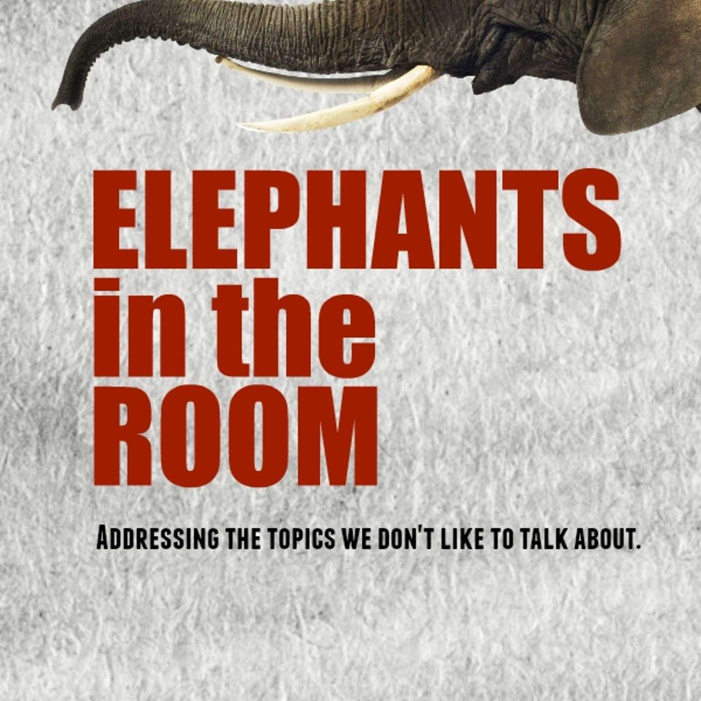 Elephants in the Room pt.1 Abortion