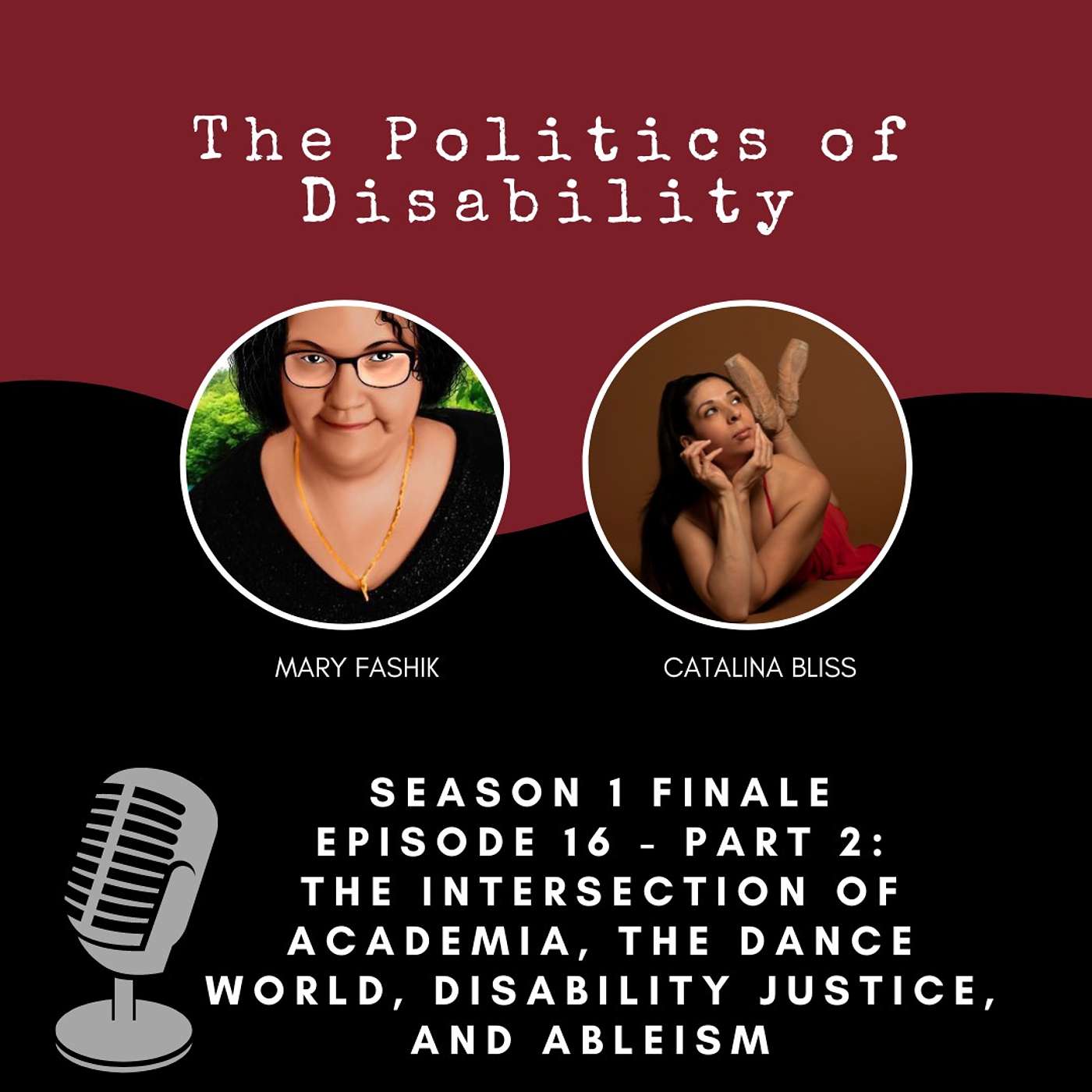 The Politics of Disability