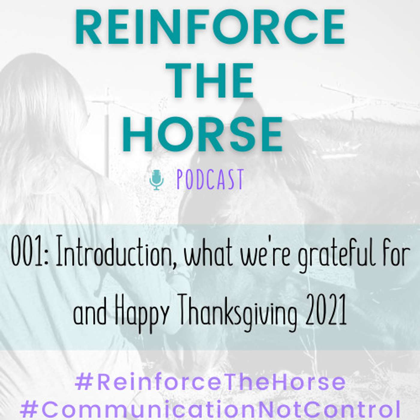 Reinforce the Horse