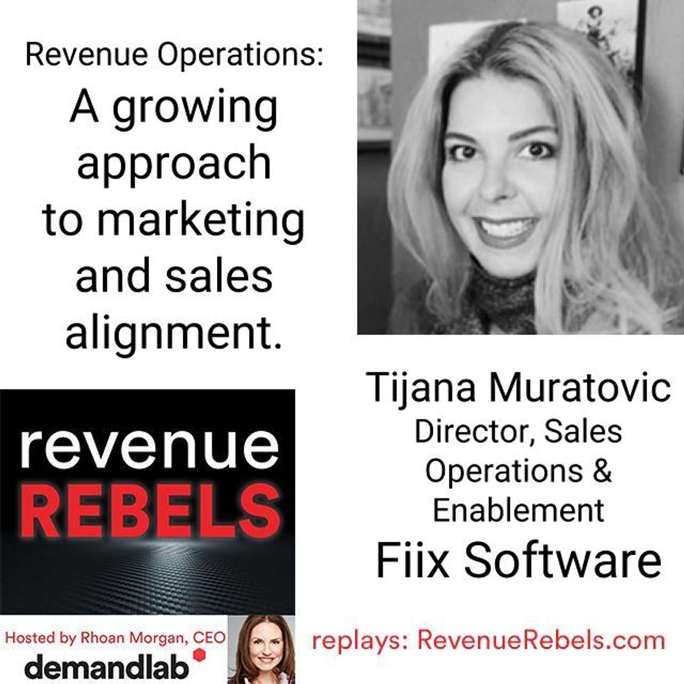 Revenue Rebels by DemandLab