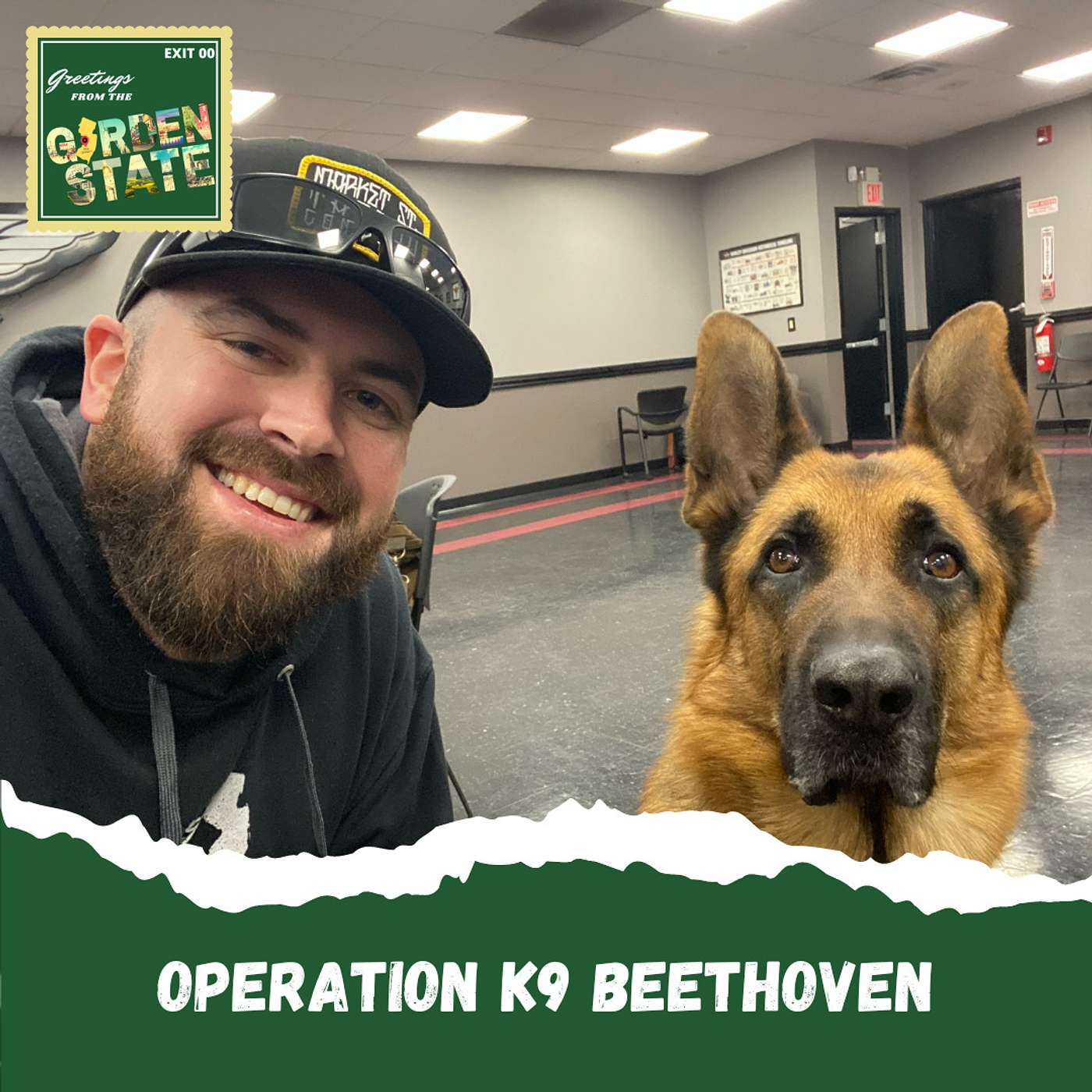Helping Veterans One Paw at a Time
