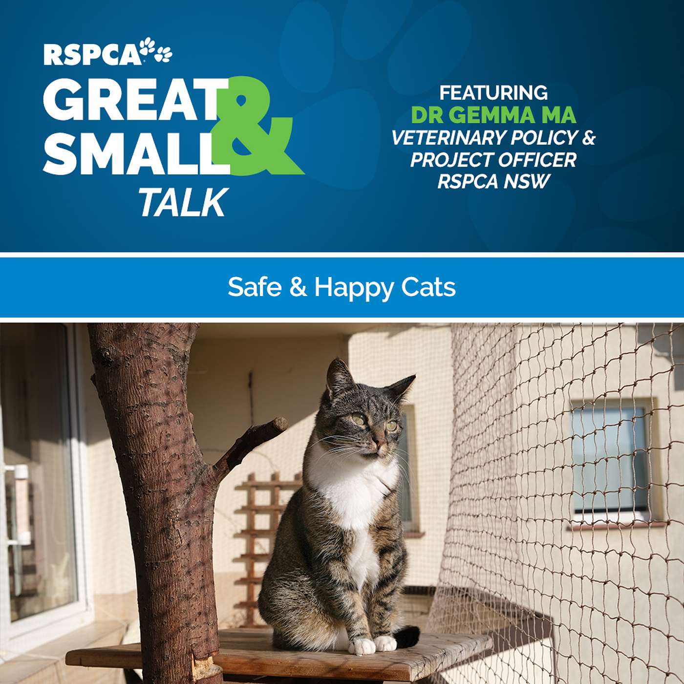 Safe and Happy Cats episode artwork