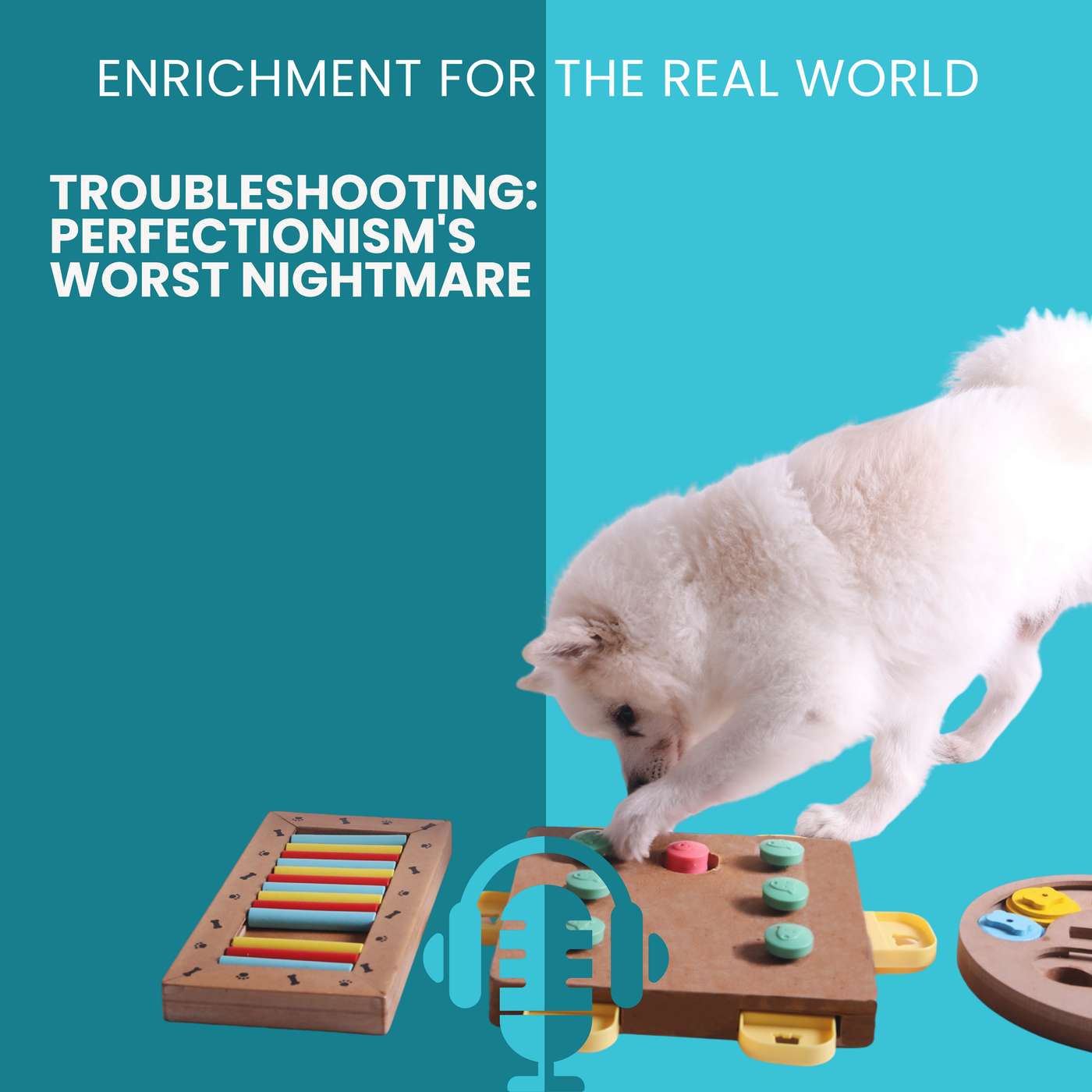 #185 - Troubleshooting: Perfectionism's Worst Nightmare