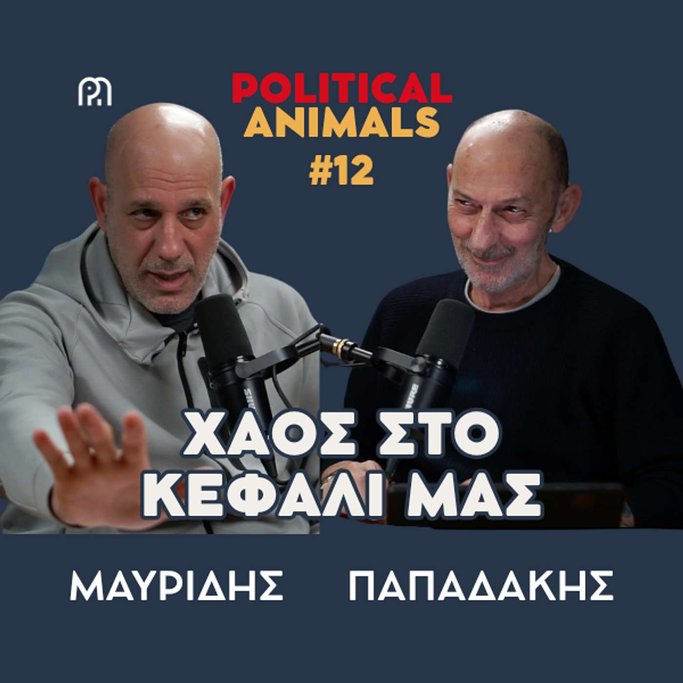 ΧΑΟΣ ΣΤΟ ΚΕΦΑΛΙ ΜΑΣ | ΕΤΕΡΟΝ έρευνα-ακτινογραφία των ψηφοφόρων