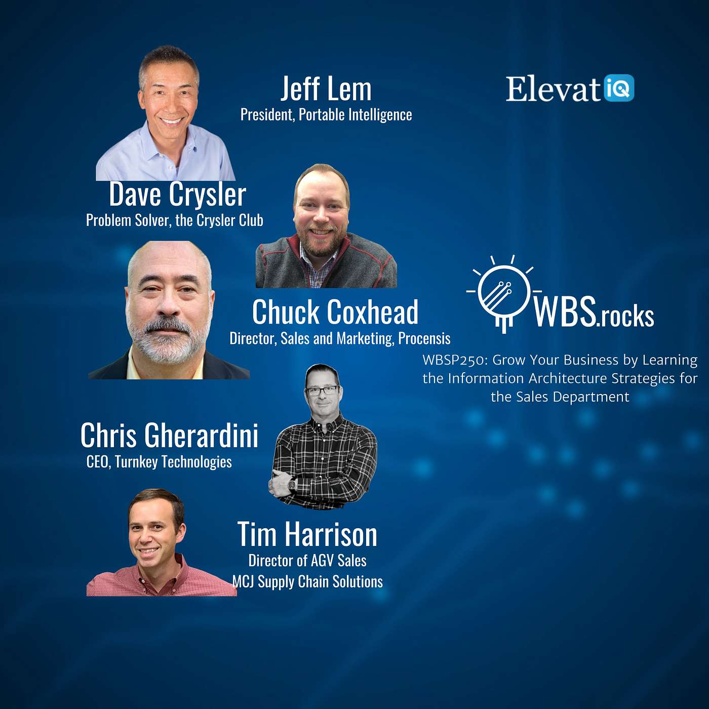 WBSP250: Grow Your Business by Learning the Information Architecture Strategies for the Sales Department, a Live Interview w/ a Panel of Experts